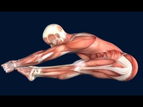 Pike Jump Anatomy (Master Your Pike Position)