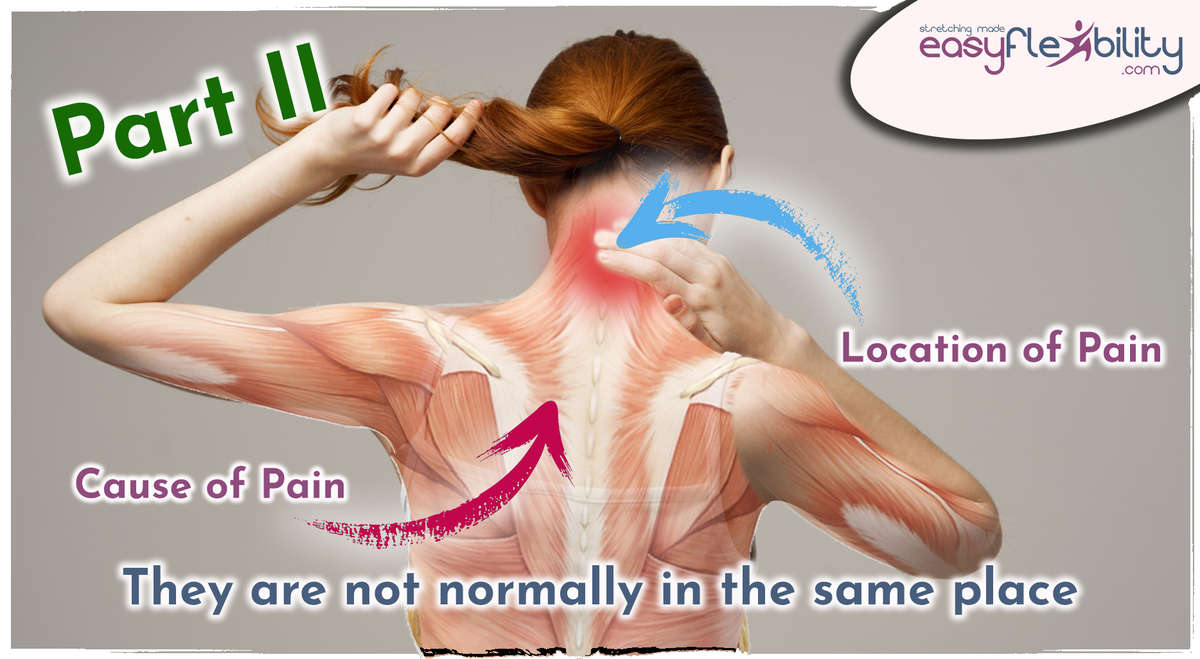 The Cause of Pain is Not at the Location of Pain – Part 2
