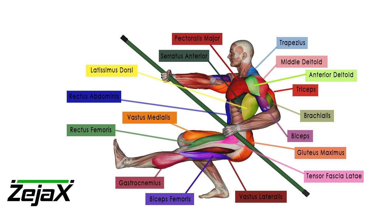 ZejaX Piston Squat Anatomy